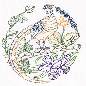 Tropical Bird Embroidery 04