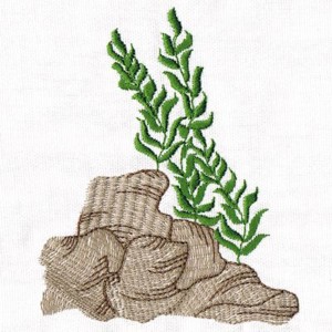 Under The Sea Embroidery - Seaweed