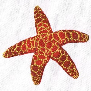 Under The Sea Embroidery - Starfish